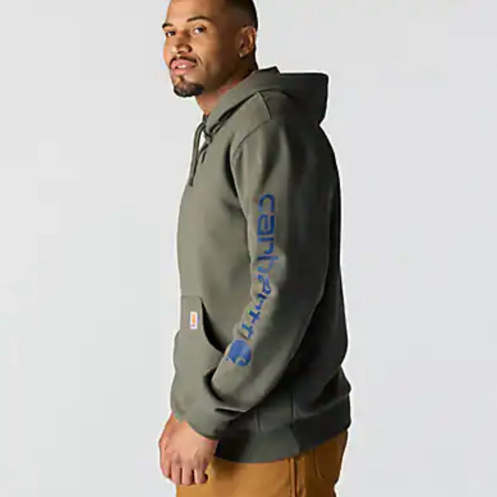NWT Men’s Carhartt midweight loose fit hoodie size M - Picture 2 of 6